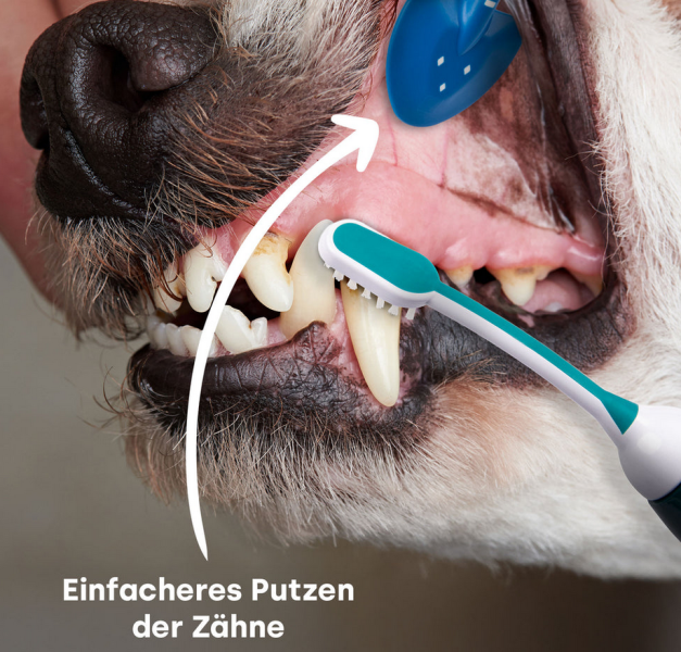 Preview: Lefzenhalter Large